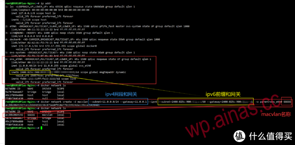 docker使用独立ip安装青龙面板