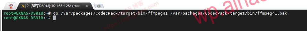 利用第三方解码器FFMPEG让群晖DSM7.X版本的Video Station支持DTS视频编码和EAC3音频编码