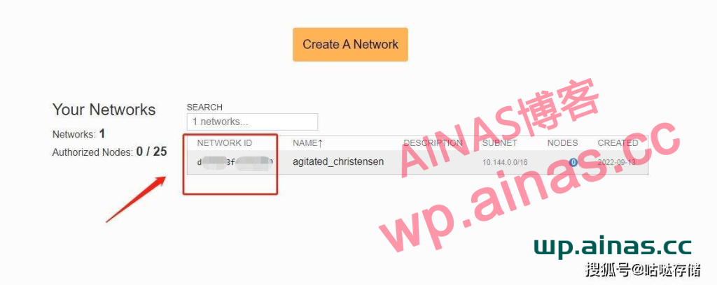 图片[7]-群晖安装ZeroTier内网穿透工具-AiNas.cc