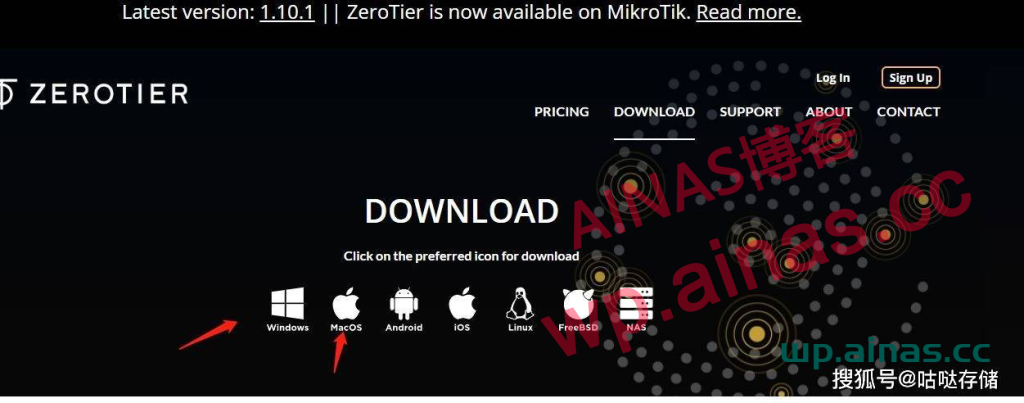 图片[13]-群晖安装ZeroTier内网穿透工具-AiNas.cc