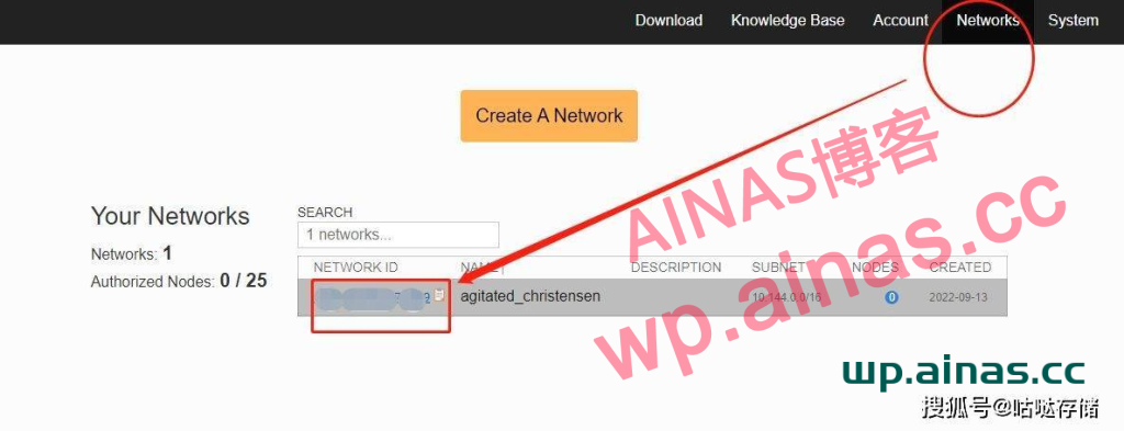 图片[15]-群晖安装ZeroTier内网穿透工具-AiNas.cc