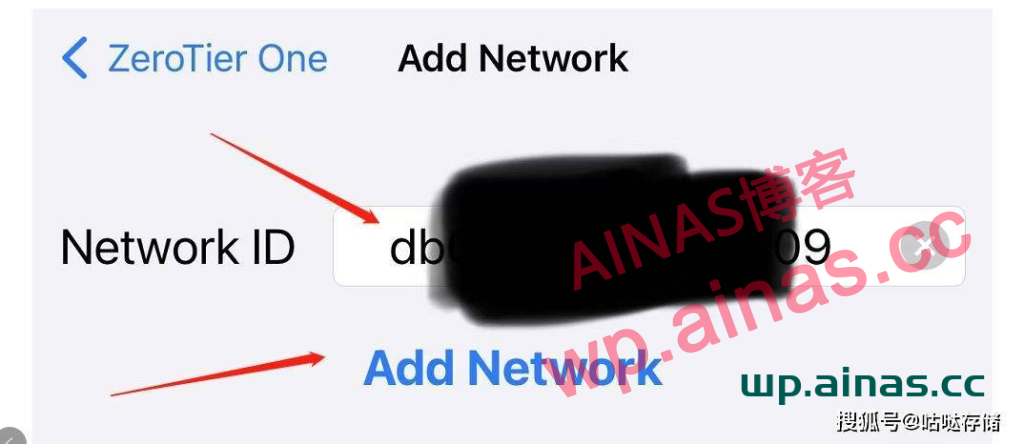 图片[23]-群晖安装ZeroTier内网穿透工具-AiNas.cc