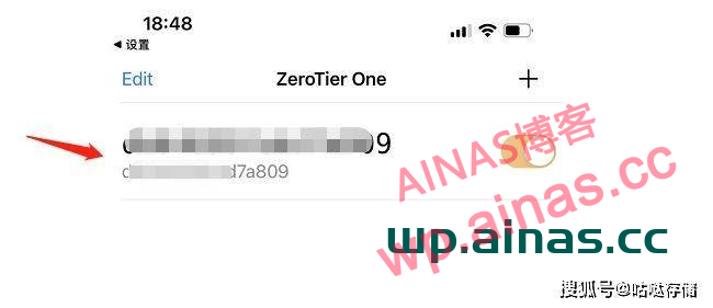 图片[24]-群晖安装ZeroTier内网穿透工具-AiNas.cc