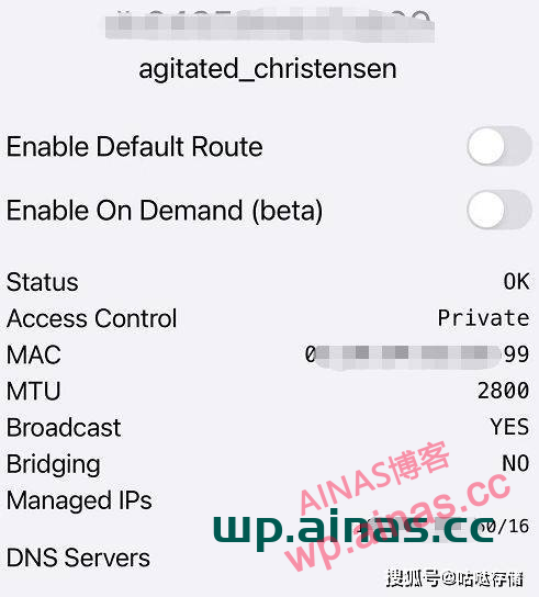 图片[27]-群晖安装ZeroTier内网穿透工具-AiNas.cc