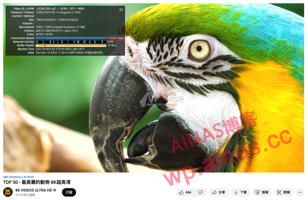 图片[15]-群晖 NAS 安装 Openwrt 旁路由教程-AiNas.cc