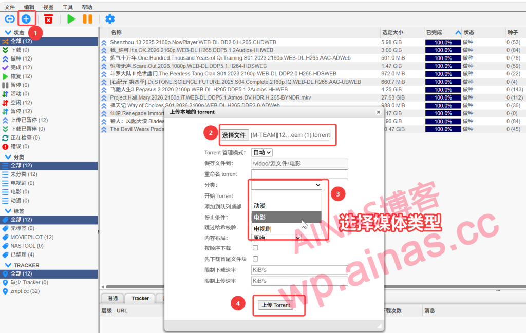 图片[5]-NasTool使用手册-AiNas.cc