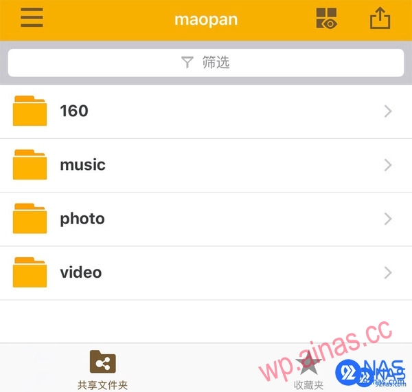 DS File