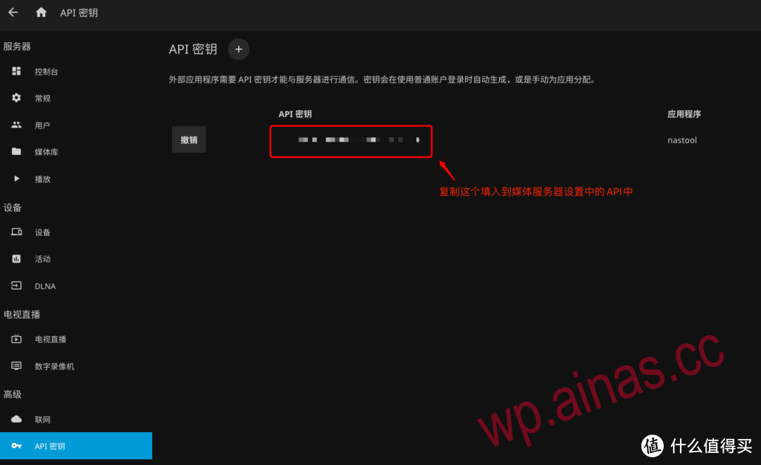 把这个API复制粘贴到下面图中API Key的位置去